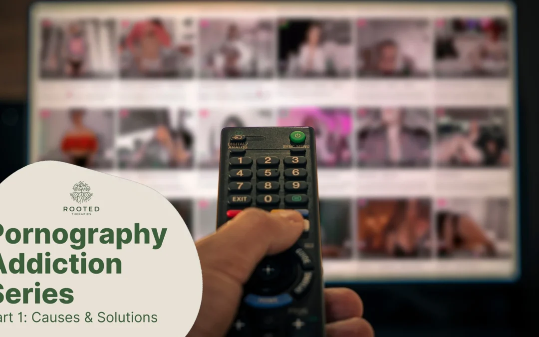 Hand holding a remote control with blurred screen showing multiple images, symbolizing pornography addiction and the need for counseling in North Port.