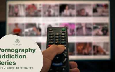 Understanding Pornography Addiction Series: Steps to Recovery